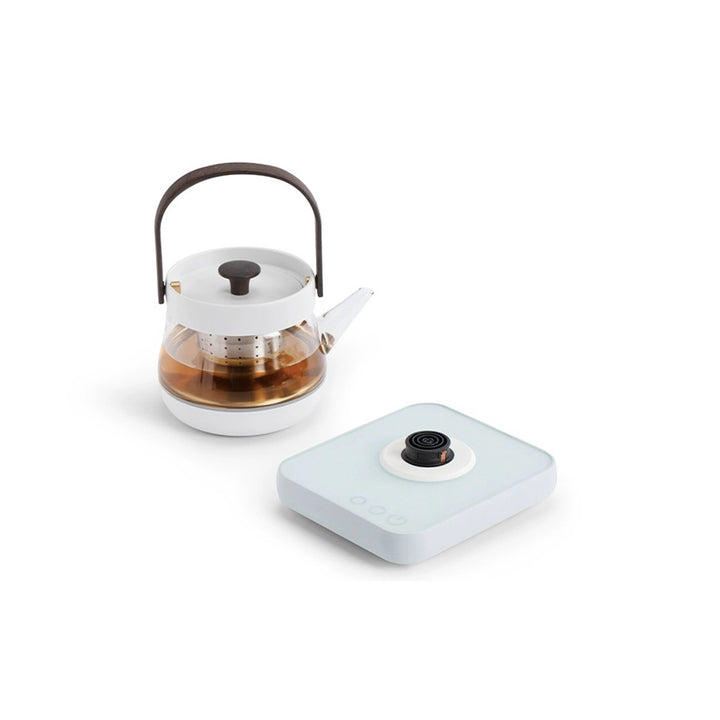 Cozy Electric Glass tea kettle with temperature control - Teaware Space