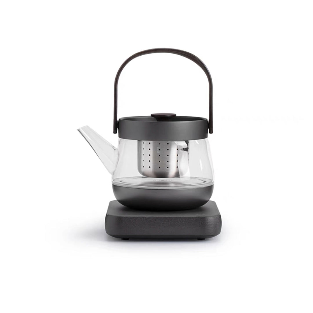 Cozy Electric Glass tea kettle with temperature control - Teaware Space