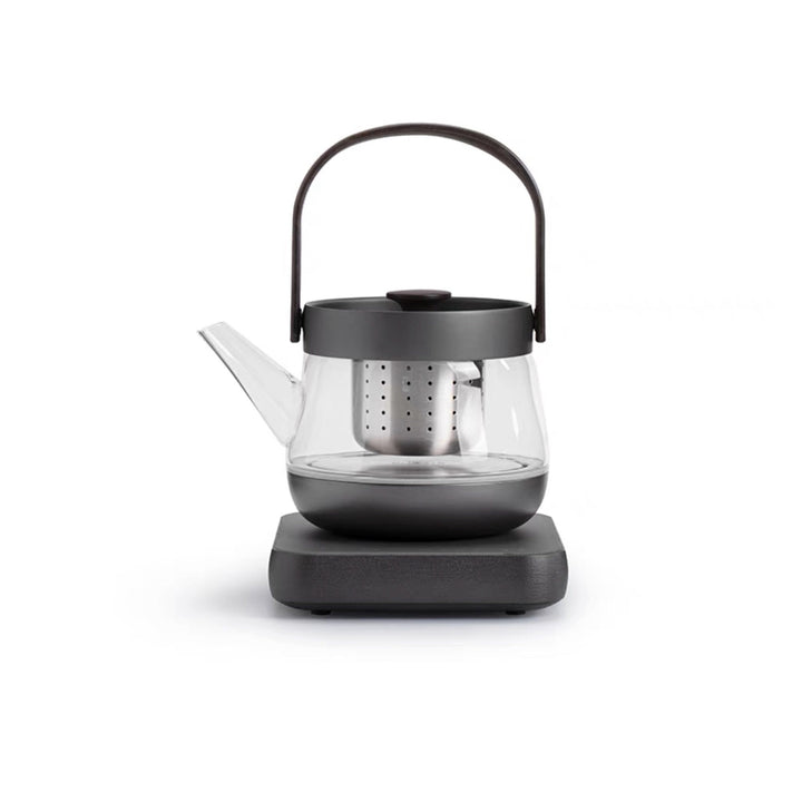 Cozy Electric Glass tea kettle with temperature control - Teaware Space