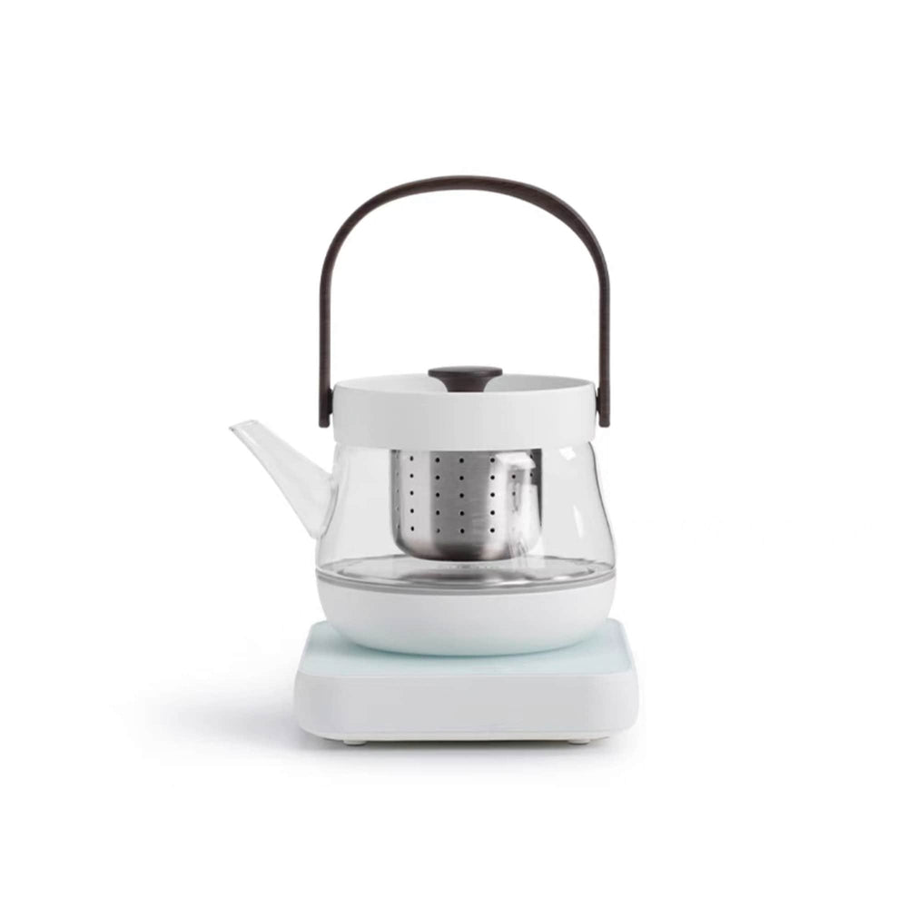 Cozy Electric Glass tea kettle with temperature control - Teaware Space