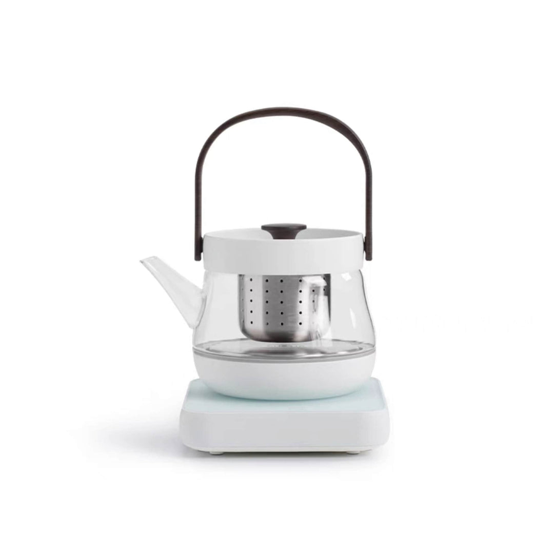 Cozy Electric Glass tea kettle with temperature control - Teaware Space