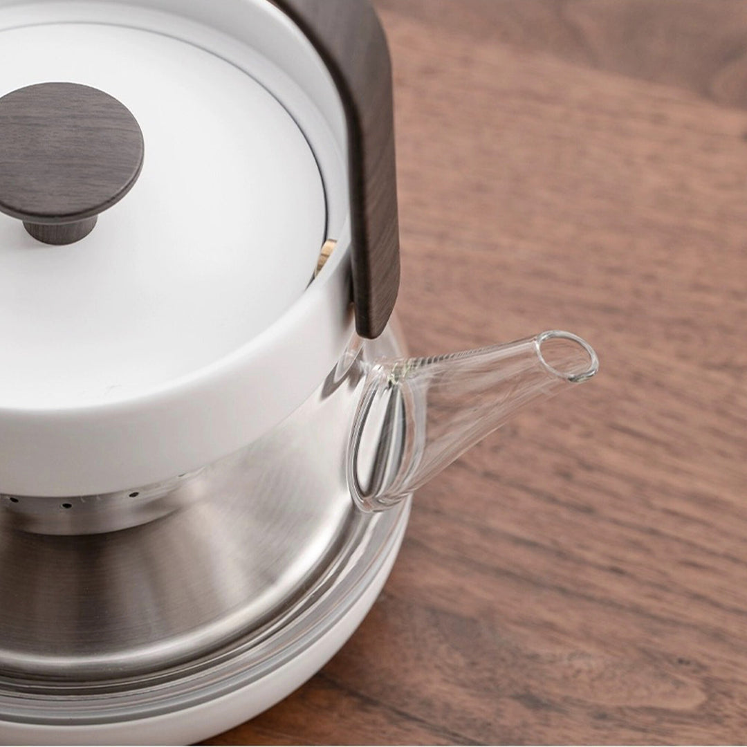 Cozy Electric Glass tea kettle with temperature control - Teaware Space