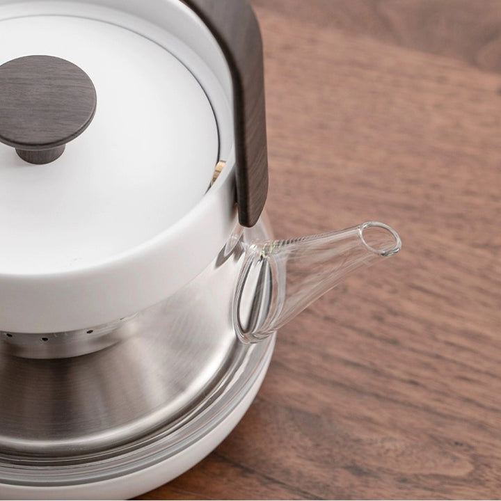 Cozy Electric Glass tea kettle with temperature control - Teaware Space