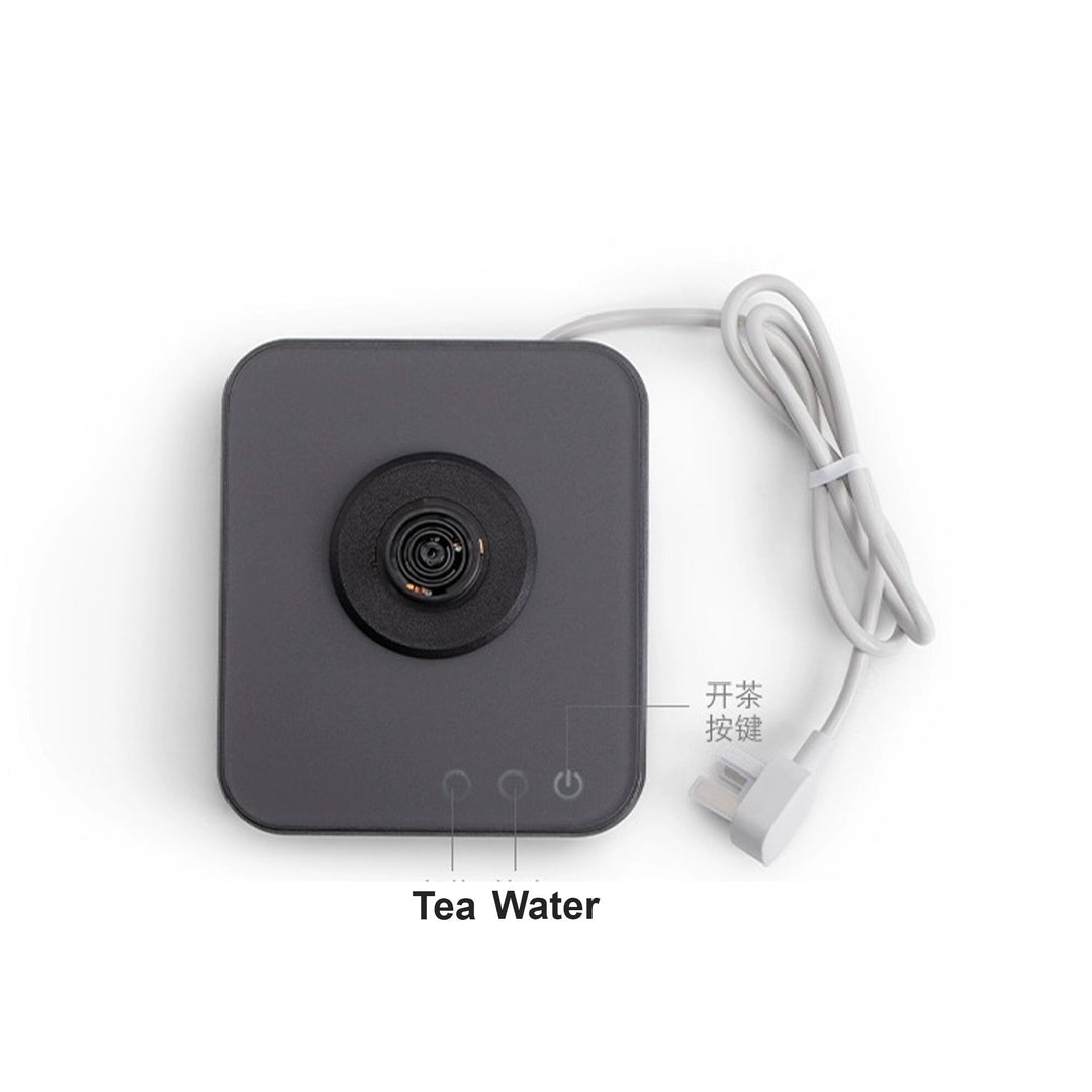 Cozy Electric Glass tea kettle with temperature control - Teaware Space