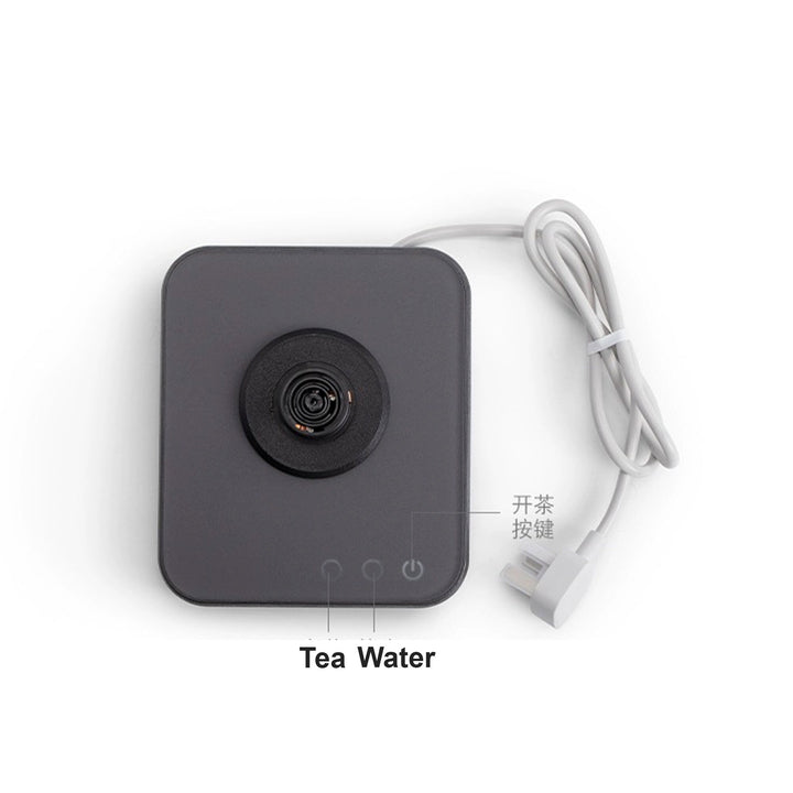 Cozy Electric Glass tea kettle with temperature control - Teaware Space