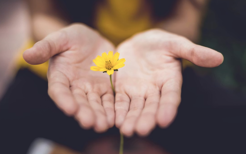 Why Childhood Trauma Surfaces in Midlife: A Guide to Healing at 30+