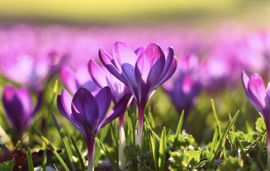 Eat, Stand, Balance: Your Guide to a Perfect Spring Equinox