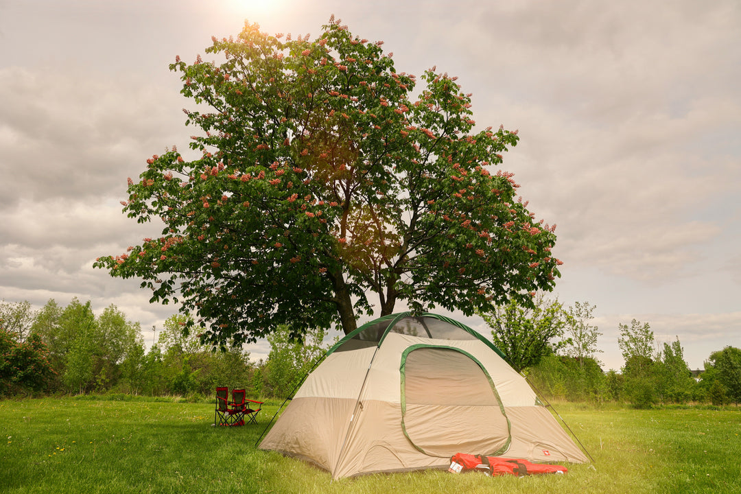 Best Portable Tea Set for Hiking and Camping