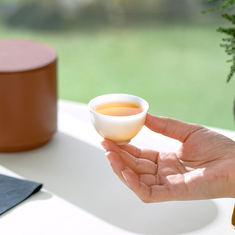 Service à thé Gaiwan de voyage vintage peint à la main pour deux