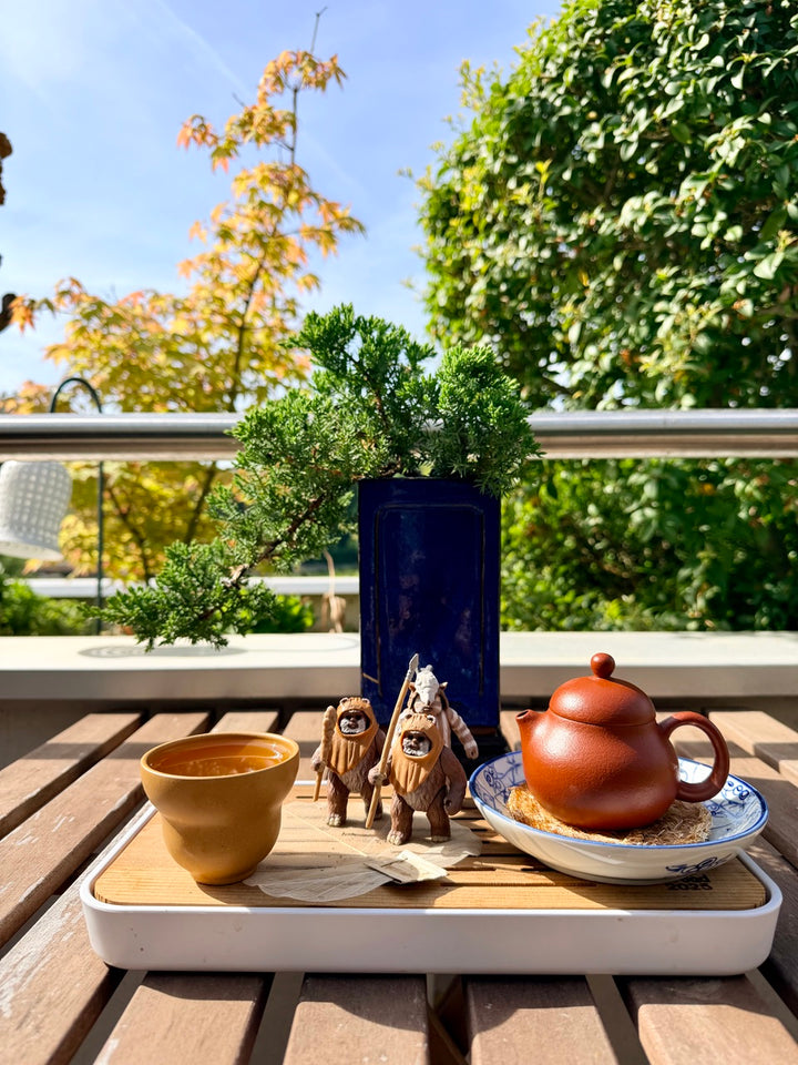 zisha teapot for one, 1 teapot 1 cups