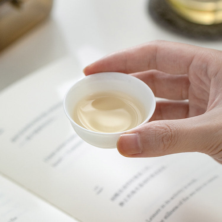 Cozy Corner - Unique design Gaiwan tea set with case