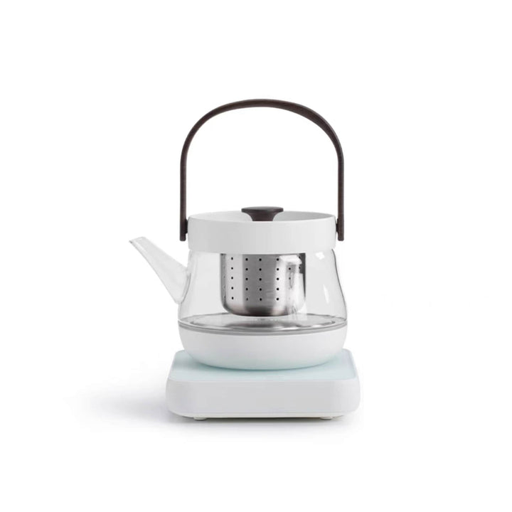 Cozy Electric Glass tea kettle with temperature control